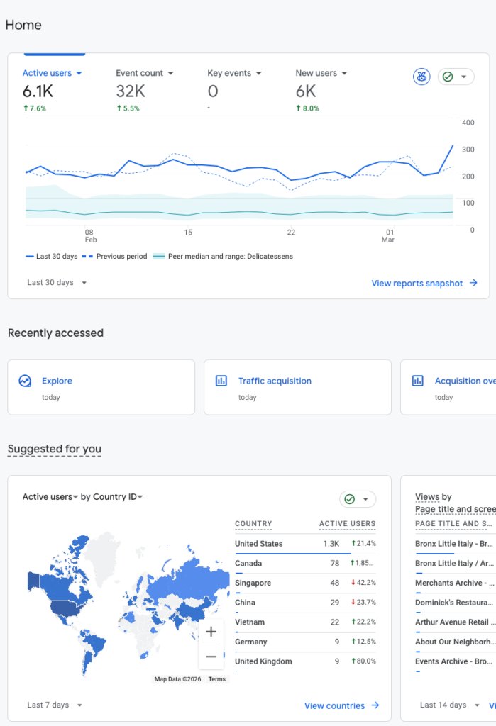 Google Analytics for Bronx Little Italy